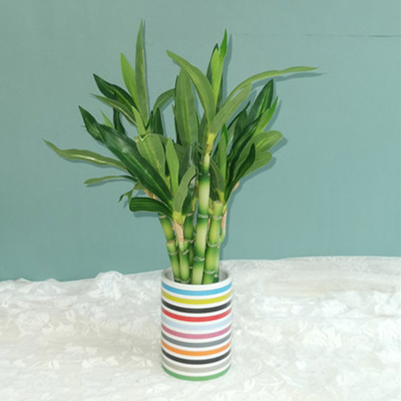 새로운 40cm 인조 행운나무 다육식물 가짜 꽃 녹색  - Outdoor Furniture Green 리뷰 및 가격